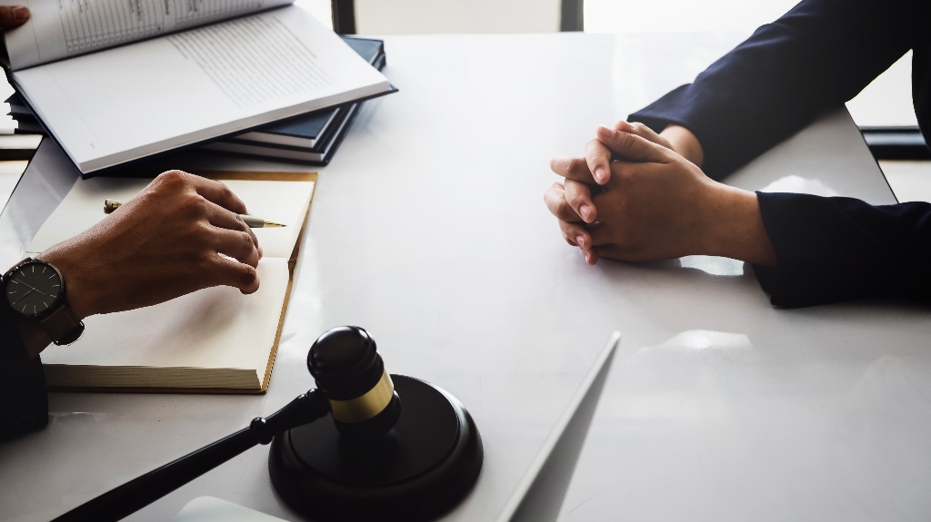 lawyer is consulting client